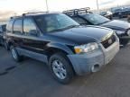 2007 Ford Escape XLT