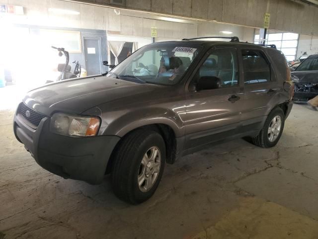 2003 Ford Escape XLT