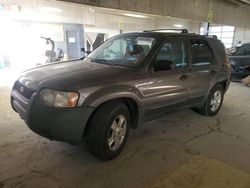 Salvage cars for sale from Copart Indianapolis, IN: 2003 Ford Escape XLT