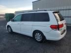 2010 Honda Odyssey EX