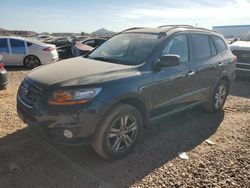 Salvage cars for sale at Phoenix, AZ auction: 2011 Hyundai Santa FE Limited