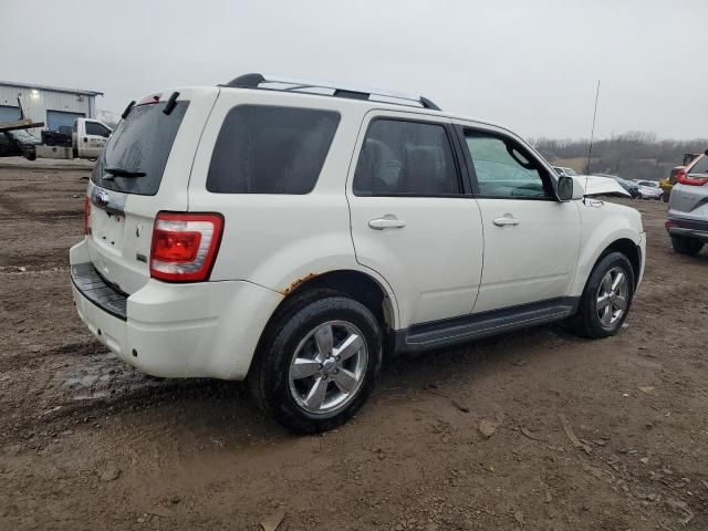 2011 Ford Escape Limited