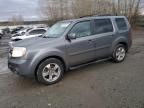 2013 Honda Pilot EXL