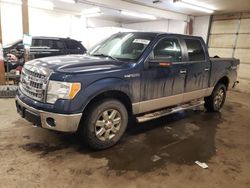 Ford salvage cars for sale: 2013 Ford F150 Supercrew