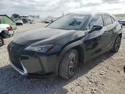 Salvage cars for sale at West Palm Beach, FL auction: 2019 Lexus UX 200