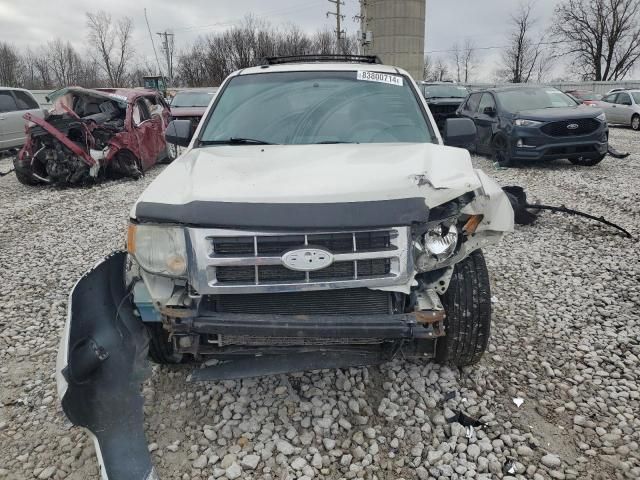 2011 Ford Escape XLT