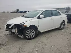 Lotes con ofertas a la venta en subasta: 2012 Toyota Corolla Base