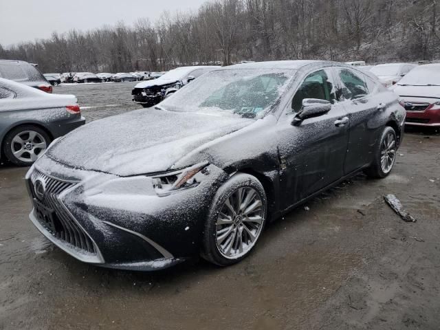 2021 Lexus ES 250 Base