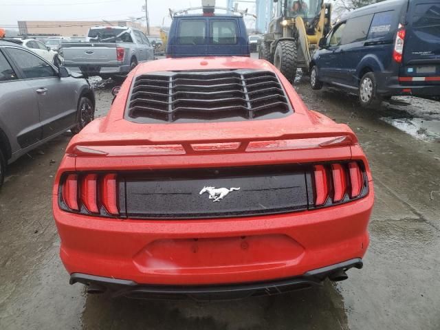 2019 Ford Mustang