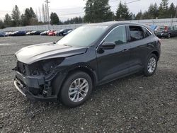 Ford salvage cars for sale: 2020 Ford Escape SE