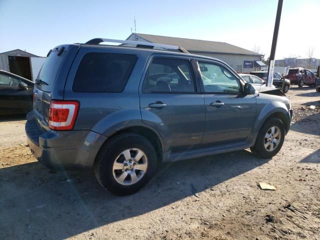 2011 Ford Escape Limited