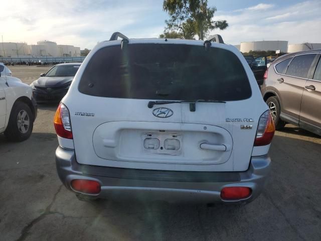 2004 Hyundai Santa FE GLS