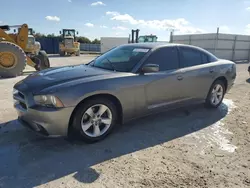 Salvage cars for sale at Arcadia, FL auction: 2012 Dodge Charger SE