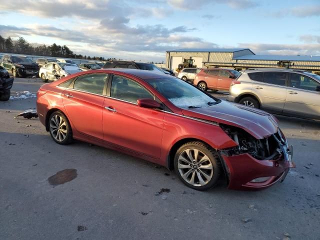 2013 Hyundai Sonata SE