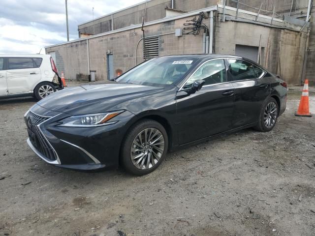 2024 Lexus ES 300H Base