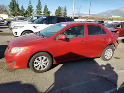 Toyota salvage cars for sale: 2009 Toyota Corolla Base