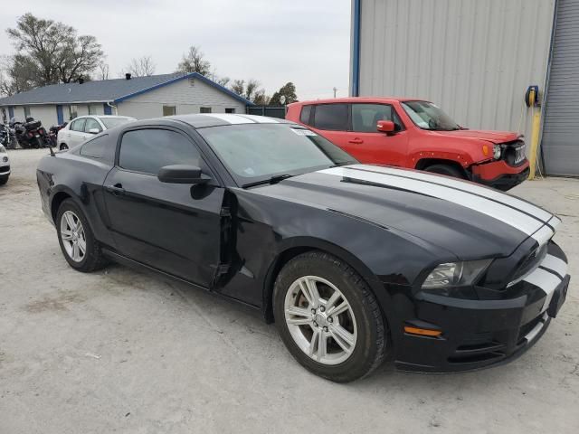 2013 Ford Mustang