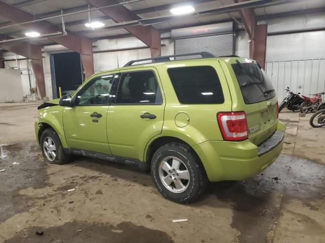 2011 Ford Escape XLT