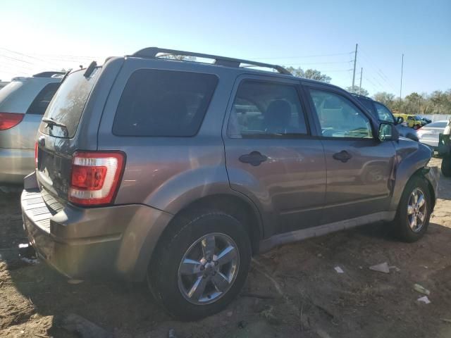 2009 Ford Escape XLT