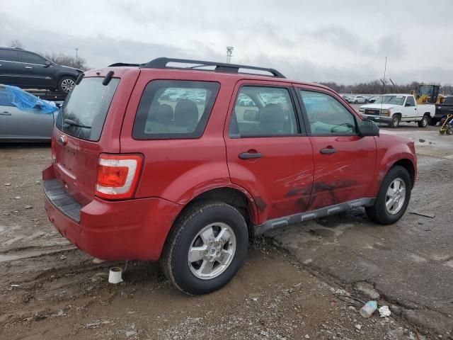 2011 Ford Escape XLS