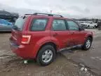 2011 Ford Escape XLS