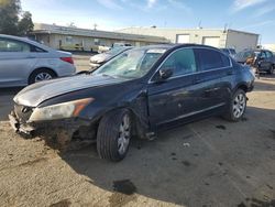 Salvage cars for sale at Martinez, CA auction: 2008 Honda Accord EX