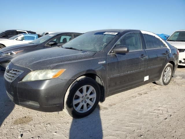 2008 Toyota Camry Hybrid