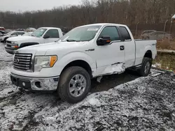 Salvage trucks for sale at Baltimore, MD auction: 2010 Ford F150 Super Cab