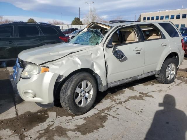 2009 Ford Escape Limited