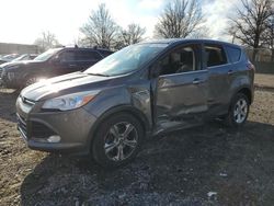 Salvage cars for sale at Laurel, MD auction: 2013 Ford Escape SE