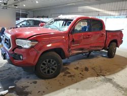 Salvage cars for sale at Candia, NH auction: 2023 Toyota Tacoma Double Cab