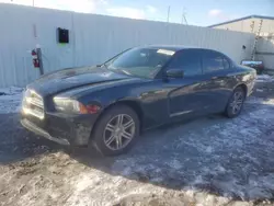 Dodge salvage cars for sale: 2013 Dodge Charger Police