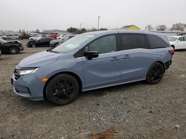 2023 Honda Odyssey SPORT-L