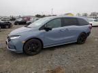 2023 Honda Odyssey SPORT-L