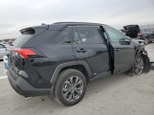 2024 Toyota Rav4 XLE Premium