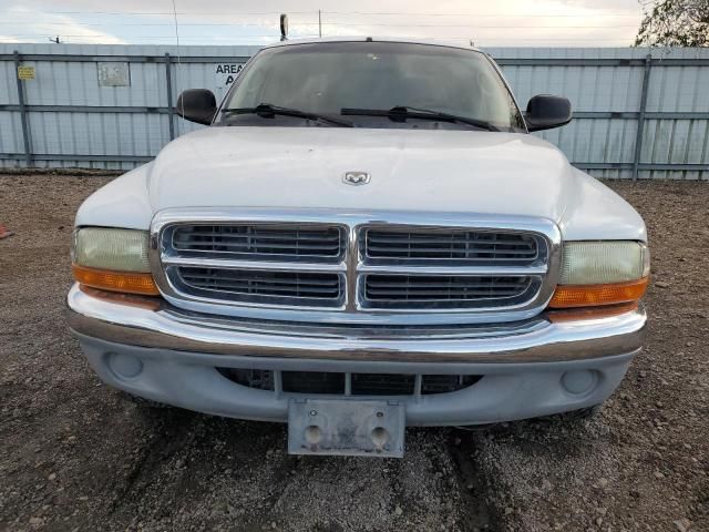 2001 Dodge Dakota Quattro