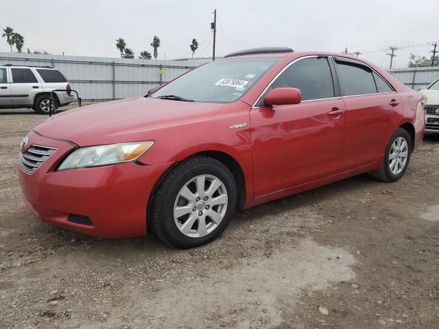 2009 Toyota Camry Hybrid