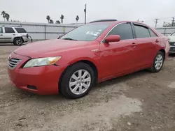 Toyota Camry Hybrid salvage cars for sale: 2009 Toyota Camry Hybrid