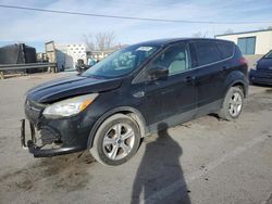 Salvage cars for sale at Anthony, TX auction: 2013 Ford Escape SE