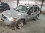 2001 Ford Escape XLT