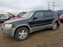 Salvage cars for sale at Elgin, IL auction: 2001 Ford Escape XLT