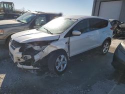 Salvage cars for sale at Cahokia Heights, IL auction: 2013 Ford Escape SE