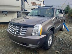 Cadillac Vehiculos salvage en venta: 2011 Cadillac Escalade Premium