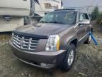 2011 Cadillac Escalade Premium