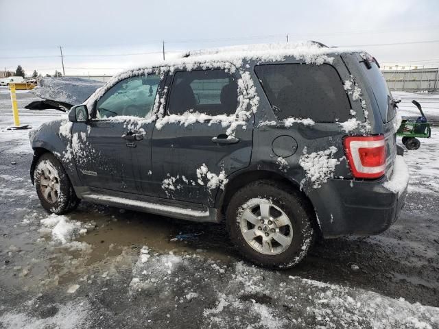 2008 Ford Escape Limited