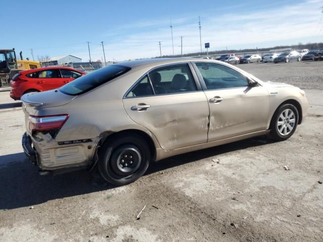 2009 Toyota Camry Hybrid