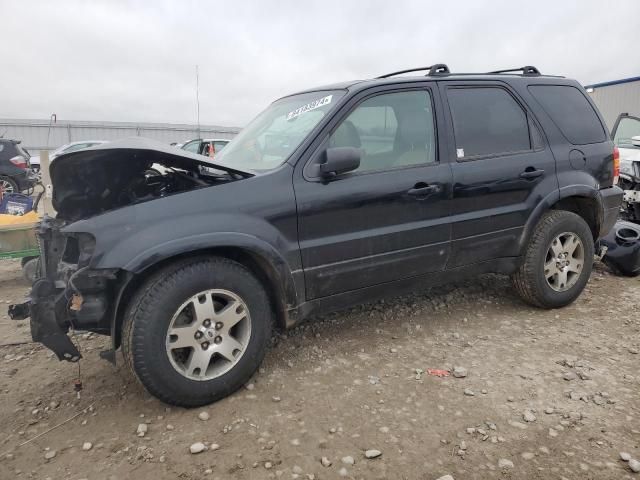 2005 Ford Escape Limited