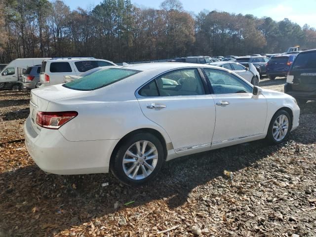 2011 Lexus ES 350