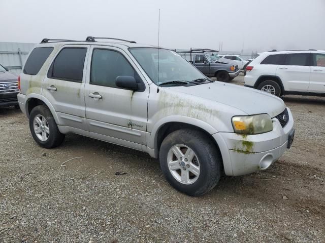 2005 Ford Escape HEV