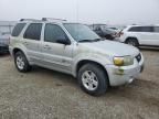 2005 Ford Escape HEV